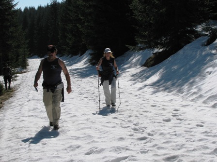 Quaxi und Zirberl kämpfen sich durch den Schnee