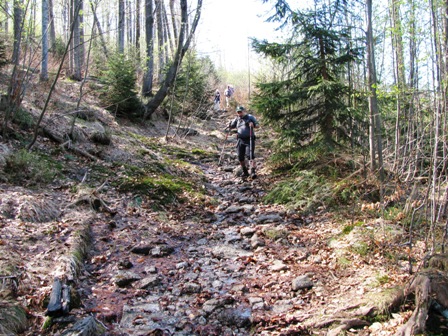 ...bewältigen die Wanderfreunde den steinigen Weg