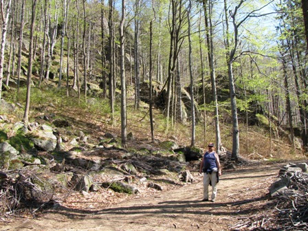 Durch diesen schönen Wald gehts bergab