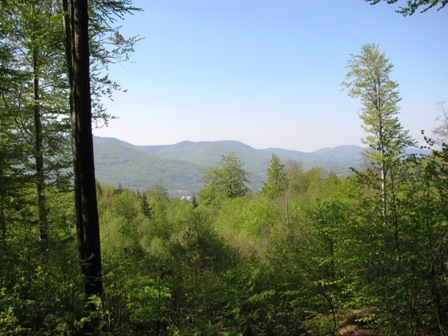 Blick ins Isergebirge