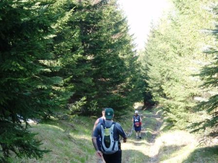 Danach gehts auf einem schönen Waldweg wieder ins Tal