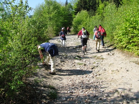 Weiter gehts über schöne Wege stetig bergan