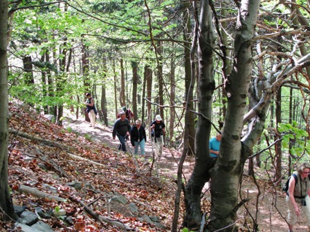 Auf dem Weg zum Gipfel der 'Lausche'...