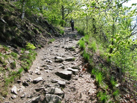 ...sind einige steinige...