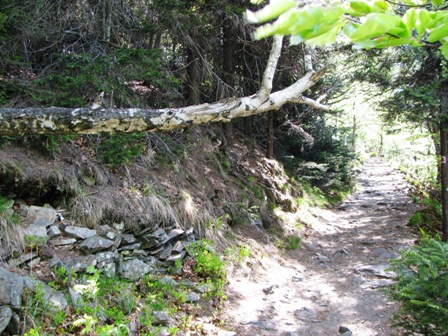 ...und schöne Stücke zu bewältigen