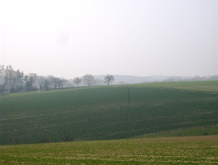 Blick ber die leichten Erhebungen um Allhaming