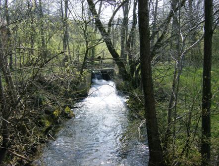 Der Sipbach bei der Falzmhle