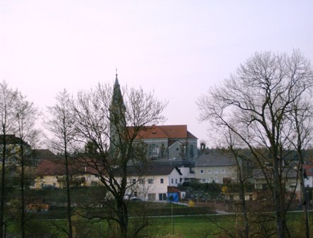 Blick auf Eggendorf im Traunkreis