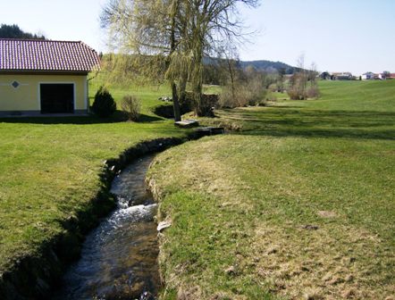 Bchlein ber saftige Wiesen auf der Hochebene bei Mhlbach