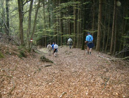 ber einen extrem steilen Weg gehts runter Richtung Donau