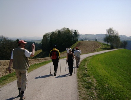 Schne Blicke erffnen sich der Wandergruppe...