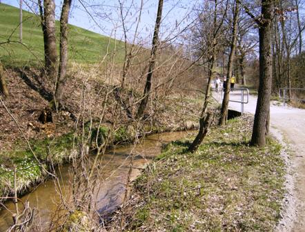 Kleiner Bach am Wegesrand