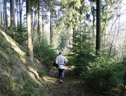 Traumweg bergab ins Naarntal