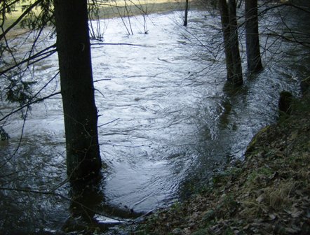 Hochwasser auch in der Naarn