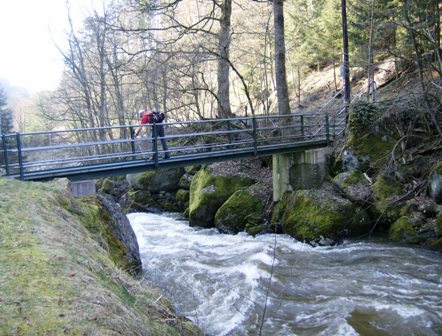 Steg ber die hochwasserfhrende Naarn