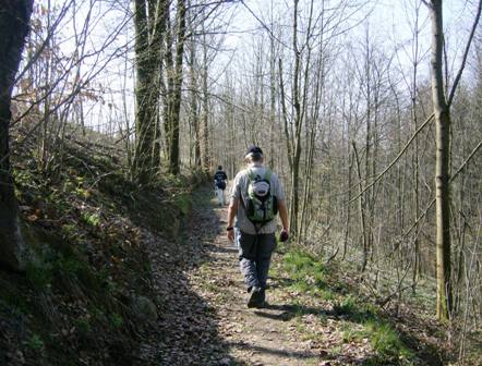 Durch ein schnes Waldstck geht es weiter zurck in Richtung Ziel