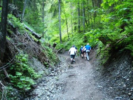 Am Weg zur permanenten Strecke gehts zunächst über einen schönen Waldweg