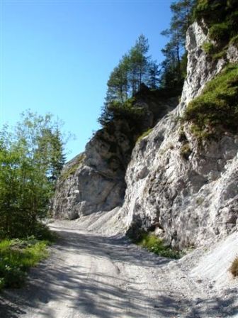 ...über diesen schönen Weg