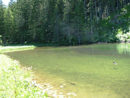 Klarer Bergteich