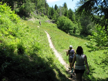 Am 'Idyllischen Weg' zur Sonnenalm