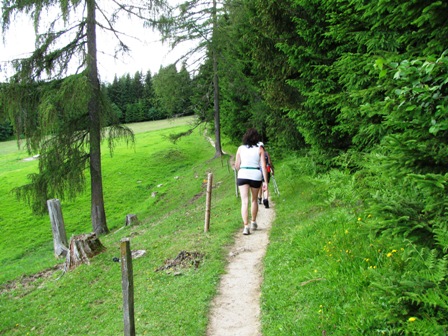 Auf einem schönen Panoramaweg gehts weiter...