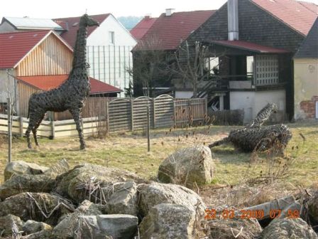 Giraffen in Pregarten