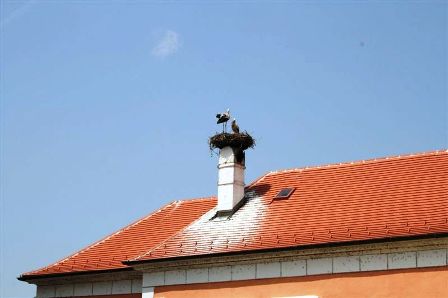 Störche haben ein Nest gebaut