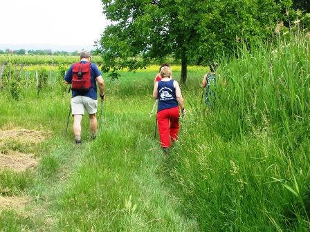 ...verschwinden dann im hohen Gras, um die Störche besser beobachten zu können