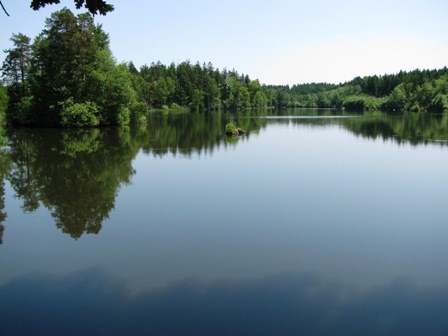 Blick über einen herrlichen Teich - hier gibts sicher einen guten Fischbesatz