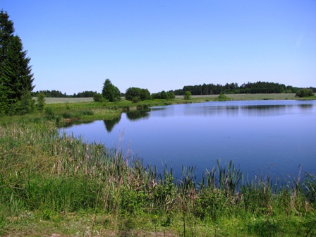 Blick über einen weiteren sehr schönen Teich bei Pürbach
