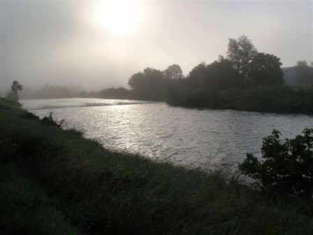Die Traisen liegt noch im Morgennebel