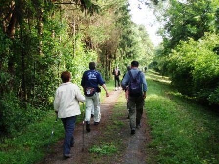Weiter gehts auf einem schönen Weg neben der Traisen