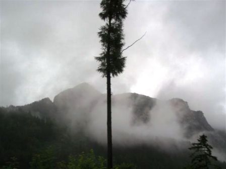 Der Nebel lichtet sich langsam...