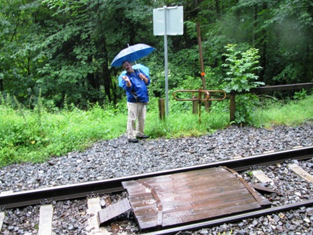 Quaxi beim Zug-Stoppen