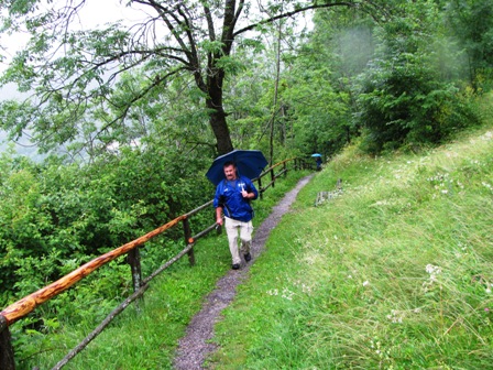 Quaxi kommt den Hügel nach Pürgg herauf