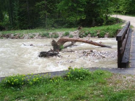 Blick auf den Grimmingbach
