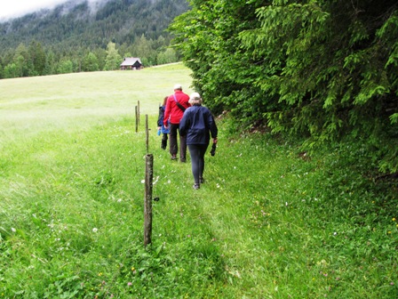 Die Wandergruppe auf einem schönen Weg entlang des Waldes...