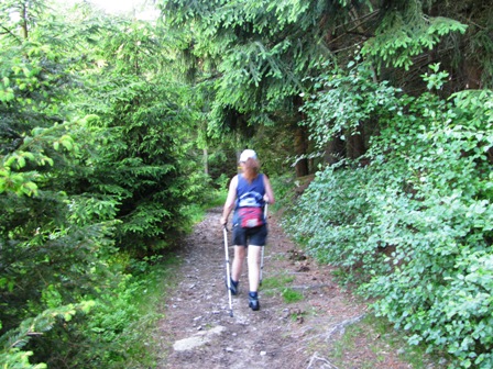 Und schon gehts auf einen schönen Waldweg