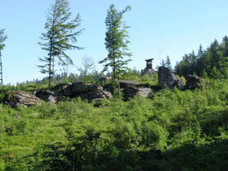Blick zu einem idyllisch platzierten Hochstand