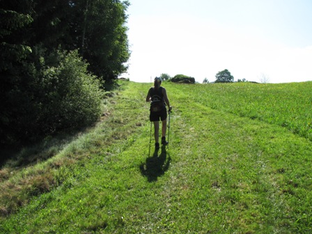 Ein kleiner Anstieg an einem Waldrand