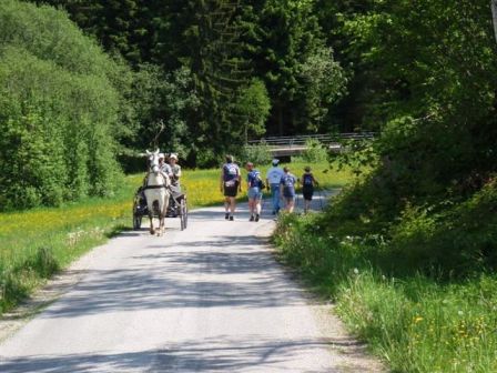 Eine Kutsche kommt entgegen...