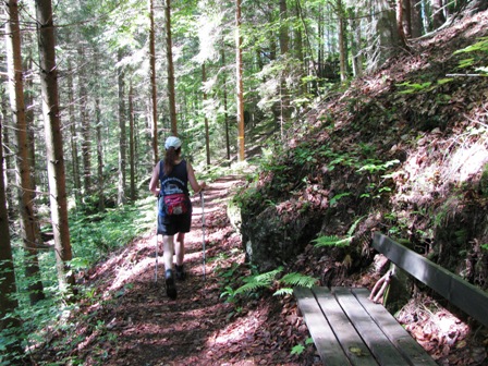 Auf herrlichen Pfaden gehts entlang des Baches