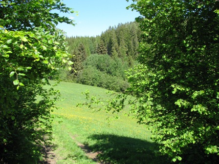 Nun gehts wieder bergan