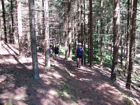 Danach gehts durch einen Wald...