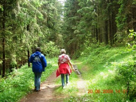Auf einem wunderschönen Waldweg