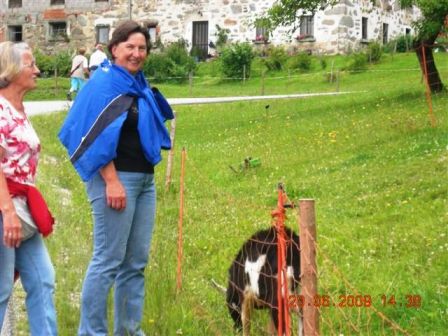 Die Wanderfreundinnen bei den Ziegen