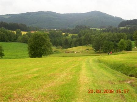 Herrlicher Blick übers Land...