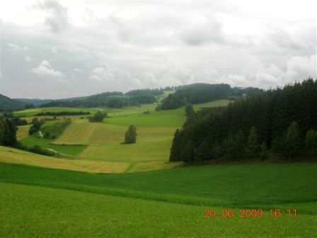 ...und die Wälder und Felder
