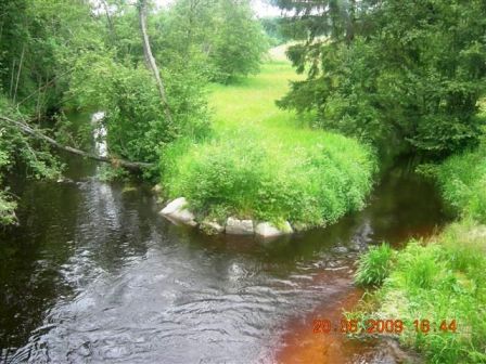 Herrliche Bachimpressionen