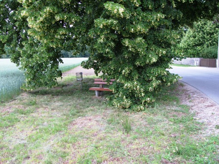 Gut getarntes 'Busserlbankerl'